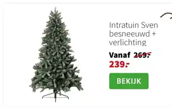 Intratuin Intratuin Sven besneeuwd + verlichting aanbieding