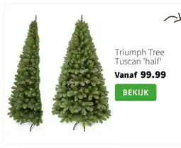 Intratuin Triumph Tree Tuscan half aanbieding