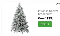 Intratuin Intratuin Denver besneeuwd aanbieding