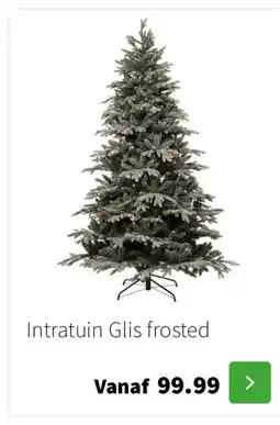 Intratuin Intratuin Glis frosted aanbieding