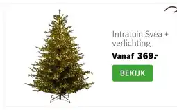 Intratuin Intratuin Svea + verlichting aanbieding