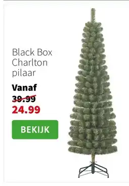 Intratuin Black Box Charlton pilaar aanbieding