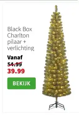 Intratuin Black Box Charlton pilaar + verlichting aanbieding