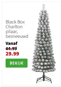Intratuin Black Box Charlton pilaar, besneeuwd aanbieding