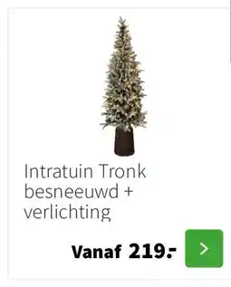 Intratuin Intratuin Tronk besneeuwd + verlichting aanbieding