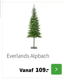 Intratuin Everlands Alpbach aanbieding