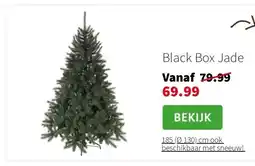 Intratuin Black Box Jade aanbieding
