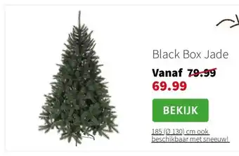 Intratuin Black Box Jade aanbieding