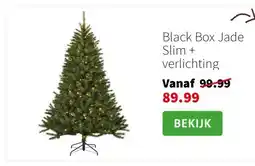 Intratuin Black Box Jade Slim + verlichting aanbieding