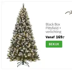 Intratuin Black Box Pittsfield + verlichting aanbieding