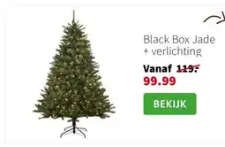 Intratuin Black Box Jade + verlichting aanbieding
