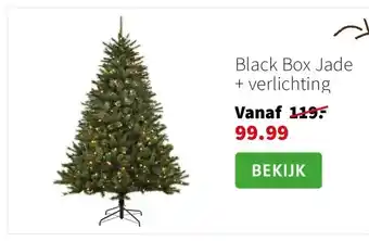 Intratuin Black Box Jade + verlichting aanbieding