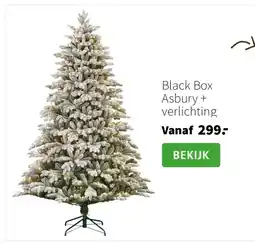 Intratuin Black Box Asbury + verlichting aanbieding