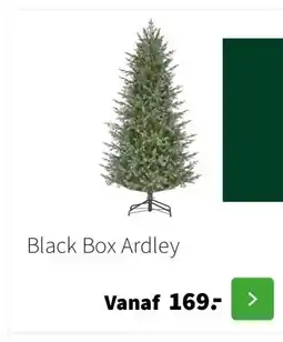Intratuin Black Box Ardley aanbieding