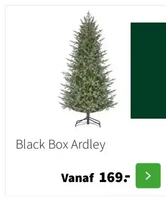 Intratuin Black Box Ardley aanbieding