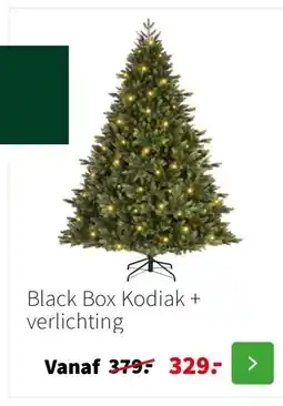 Intratuin Black Box Kodiak + verlichting aanbieding