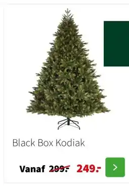 Intratuin Black Box Kodiak aanbieding
