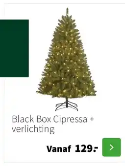 Intratuin Black Box Cipressa + verlichting aanbieding