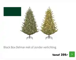 Intratuin Black Box Delmar mét of zonder verlichting aanbieding