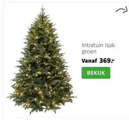 Intratuin Intratuin Isak groen aanbieding
