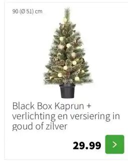 Intratuin Black Box Kaprun + verlichting en versiering in goud of zilver aanbieding