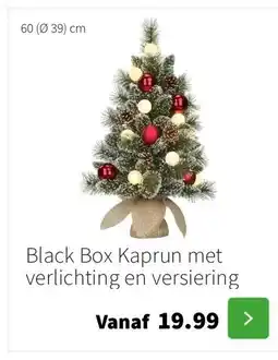Intratuin Black Box Kaprun met verlichting en versiering aanbieding