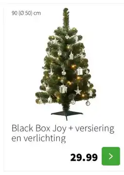 Intratuin Black Box Joy + versiering en verlichting aanbieding