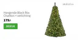 Intratuin Hangende Black Box Charlton + verlichting aanbieding