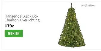 Intratuin Hangende Black Box Charlton + verlichting aanbieding