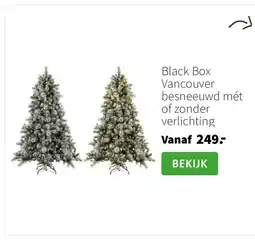 Intratuin Black Box Vancouver besneeuwd mét of zonder verlichting aanbieding