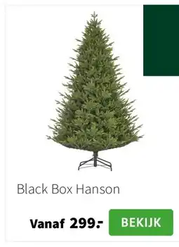 Intratuin Black Box Hanson aanbieding