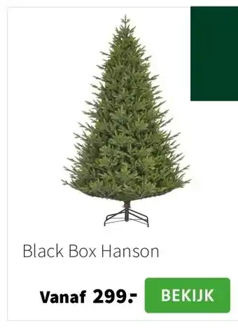 Intratuin Black Box Hanson aanbieding