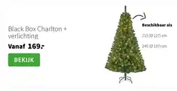 Intratuin Black Box Charlton + verlichting aanbieding