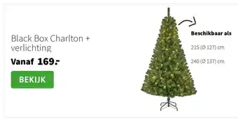 Intratuin Black Box Charlton + verlichting aanbieding