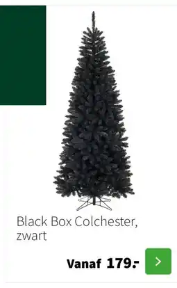 Intratuin Black Box Colchester, zwart aanbieding