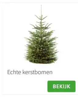 Intratuin Echte kerstbomen aanbieding