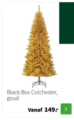 Intratuin Black Box Colchester, goud aanbieding