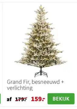 Intratuin Grand Fir, besneeuwd + verlichting aanbieding