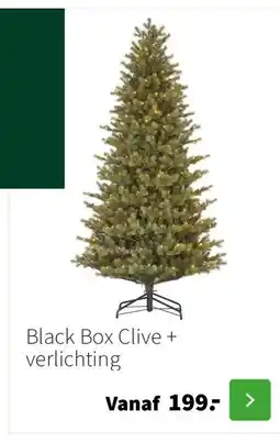 Intratuin Black Box Clive + verlichting aanbieding
