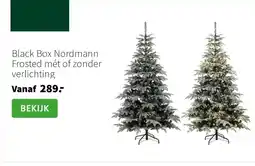 Intratuin Black Box Nordmann Frosted mét of zonder verlichting aanbieding