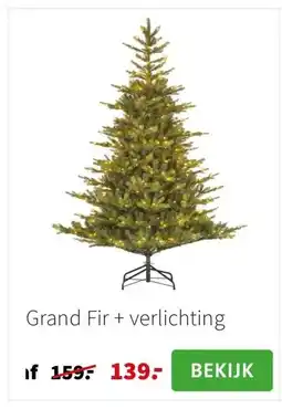 Intratuin Grand Fir + verlichting aanbieding