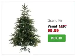 Intratuin Grand Fir aanbieding