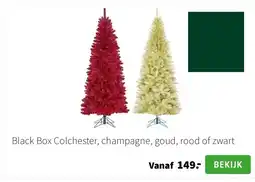 Intratuin Black Box Colchester, champagne, goud, rood of zwart aanbieding