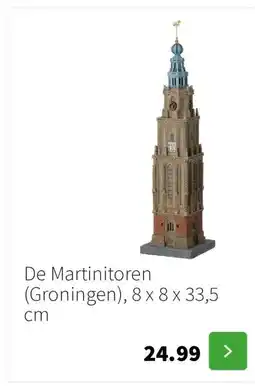 Intratuin De Martinitoren (Groningen), 8 x 8 x 33,5 cm aanbieding