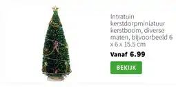 Intratuin Intratuin kerstdorpminiatuur kerstboom, diverse maten, bijvoorbeeld 6 x 6 x 15.5 cm aanbieding