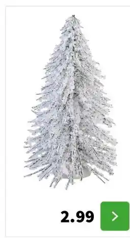 Intratuin Hoogte 15 cm aanbieding