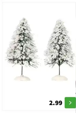 Intratuin Hoogte 10 cm, 2 stuks aanbieding