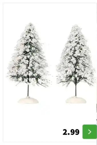 Intratuin Hoogte 10 cm, 2 stuks aanbieding
