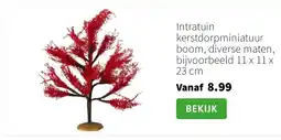 Intratuin Intratuin kerstdorpminiatuur boom, diverse maten, bijvoorbeeld 11 x 11 x 23 cm aanbieding