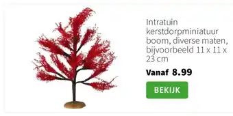 Intratuin Intratuin kerstdorpminiatuur boom, diverse maten, bijvoorbeeld 11 x 11 x 23 cm aanbieding